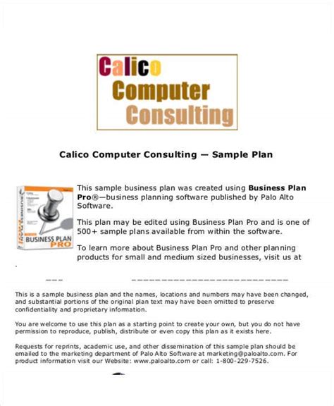 Computer Consulting Business Plan